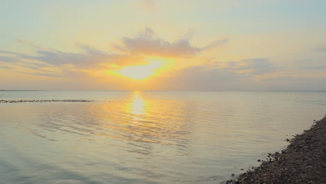 seabird flying across calm sea during sunset in slow motion at fleetwood, lancashire, uk