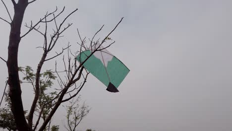 cometa estrellada en el árbol