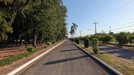 traveling down a peaceful tree-lined street