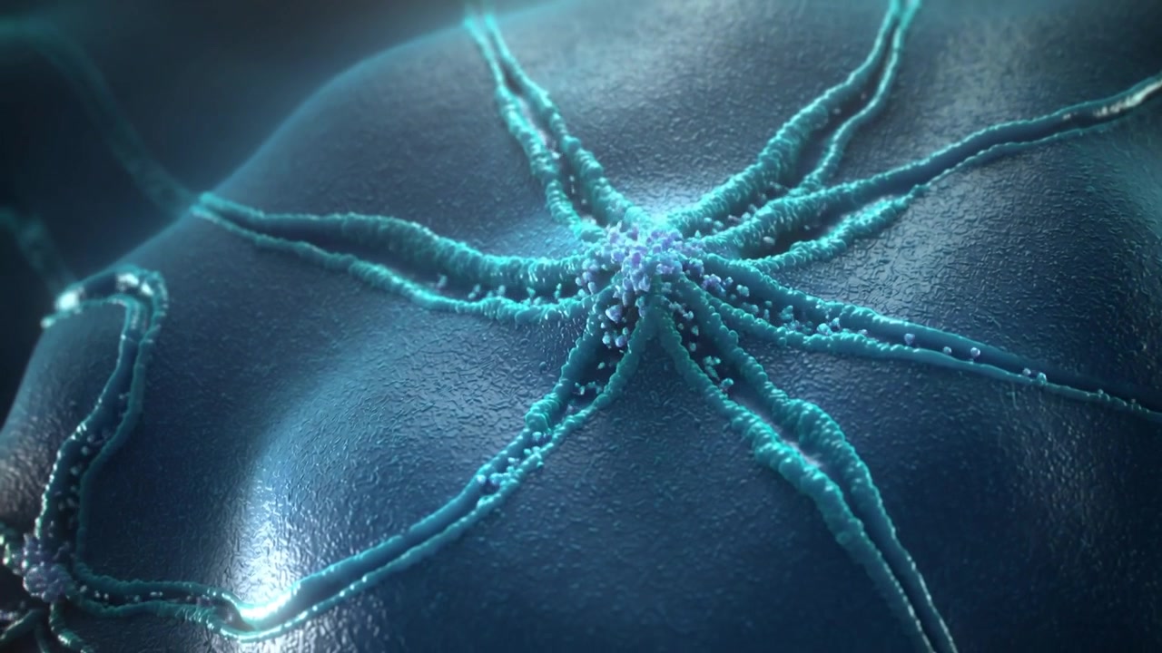 Brightening central node pulling beads along radial arms across curved dome, collecting at center