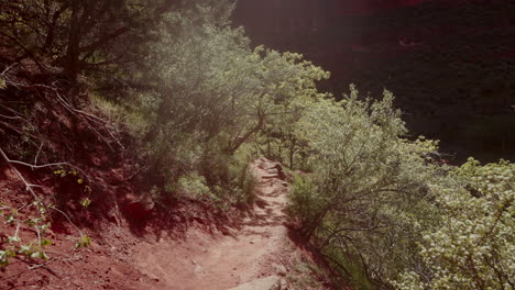 hiking trail in a canyon setting