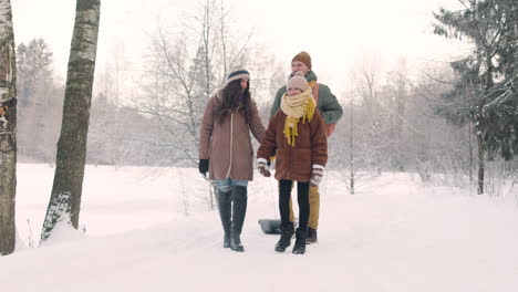 mother and daughter walk hand in hand in a snowy forest 1