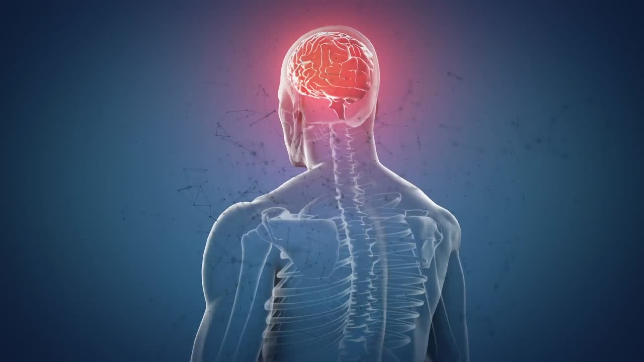 анимация обработки данных над человеческим телом с светящимся мозгом.