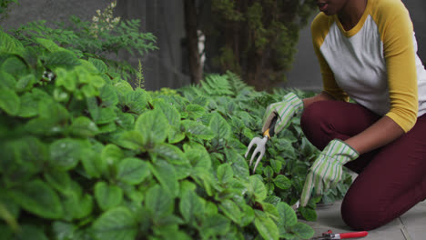 mujer afroamericana con guantes de jardinería jardinería en el jardín