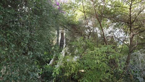 Toma-De-Las-Escaleras-Rodeadas-De-Exuberante-Vegetación-Dentro-De-La-Casa-Loca-En-Da-Lat,-Vietnam