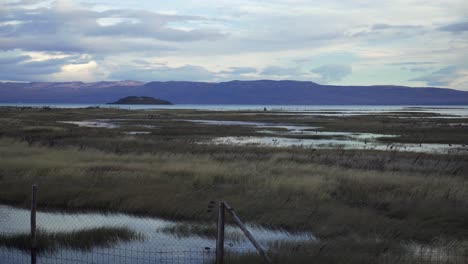 Handheld-shot-of-Laguna-Nimez-bird-sanctuary-and-Lago-Argentino-on-background-in-Calafate
