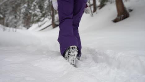 legs of woman in winter boots and warm clothes walking on snow in forest, close up full frame