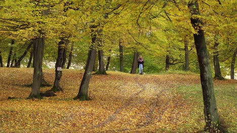 girl walking down the trail carpeted in autumnal fallen leaves in hoia forest, cluj-napoca, romania