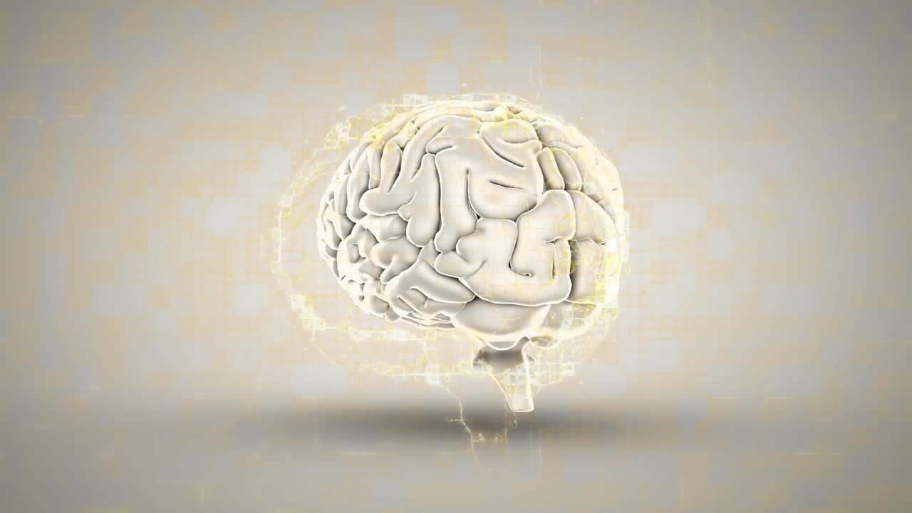 검은 바탕을 배경으로 인간의 뇌를 회전시키는 연결망의 디지털 애니메이션