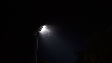 the swarm of bug attracting and flying around the light at night