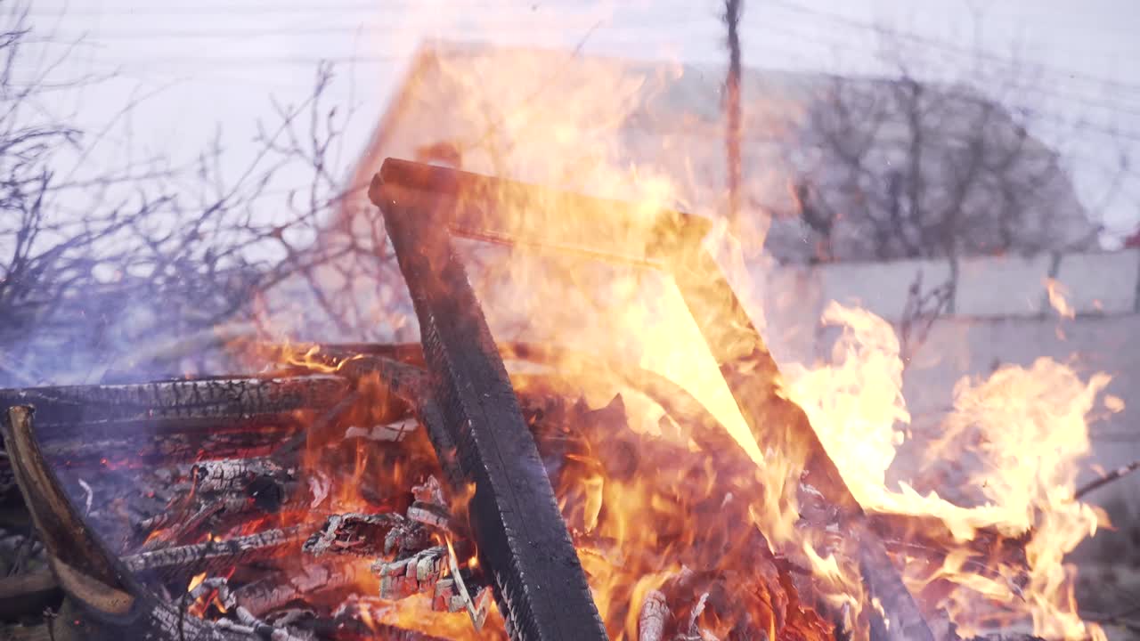 Big fire. Burning trees, cut branches. Seasonal autumn work in the garden