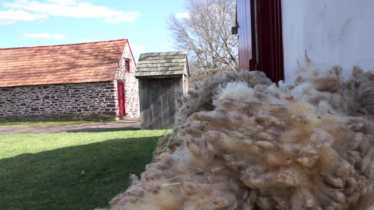 Pan from pile of freshly sheared sheep wool to outhouse and stone farm building.