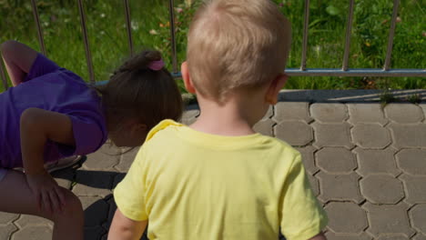 little girl jumps away scared of ants with younger brother