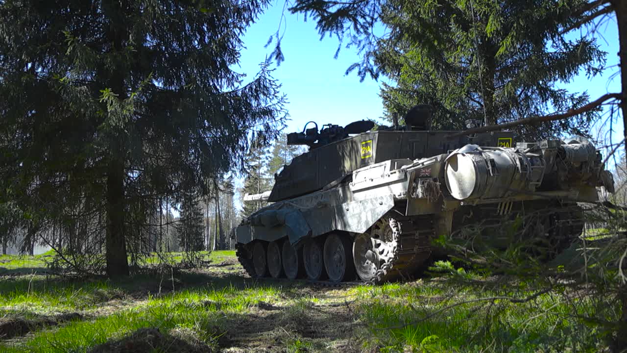 Gorgeous and rare low angle footage of a British Challenger 2 4034 armored tank with a massive cannon barrel hiding in a sunny pine tree forest tree line and aiming at a field during summer battle.