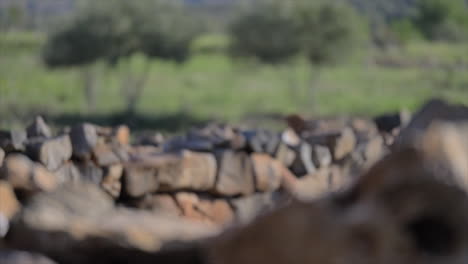 closeup of old stone wall at the countryside farm