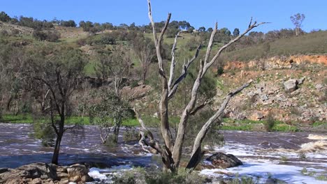 Bells-Rapids-Park,-Perth---Río-Swan-Que-Fluye-Rápido-En-Invierno,-Panorámica-Hacia-Abajo