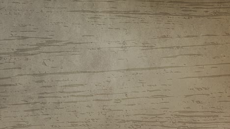 fondo de madera (con bucle)