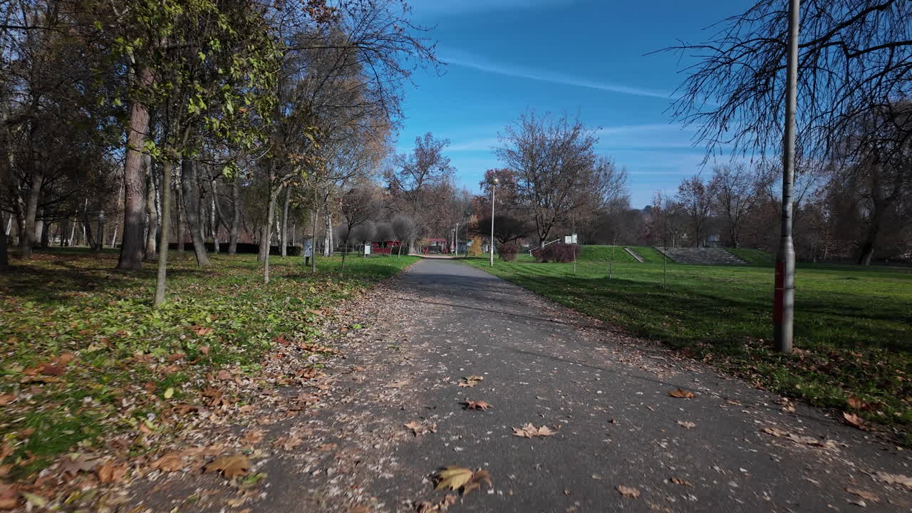 осенняя прогулка в парке