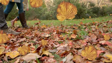 animation of orange autumn leaves falling over caucasian family walking in park