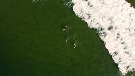 drone aerial shot of surfers duck dive under ocean wave swell the bend terrigal wamberal pacific ocean nsw central coast australia 3840x2160 4k