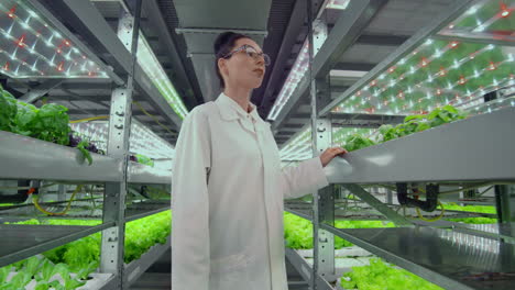 the camera moves through the corridors along the shelves with vegetables and herbs on a modern farm a team of scientists and farmers monitor the work of the station.