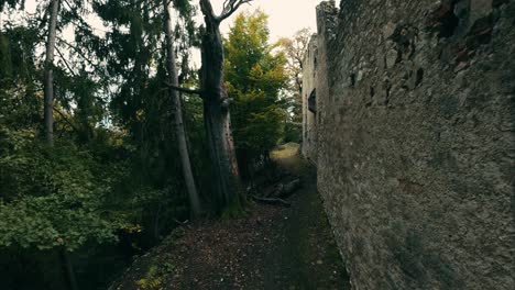 exploring the ancient ruins in a forest