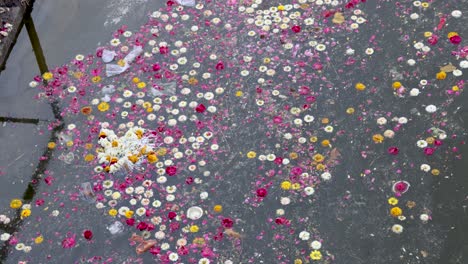 dirty river filled with flowers and religious waste at morning