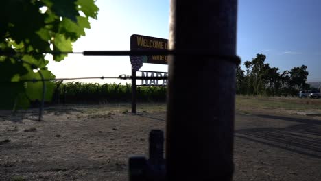 tilting into a vineyard post to cover napa valley sign