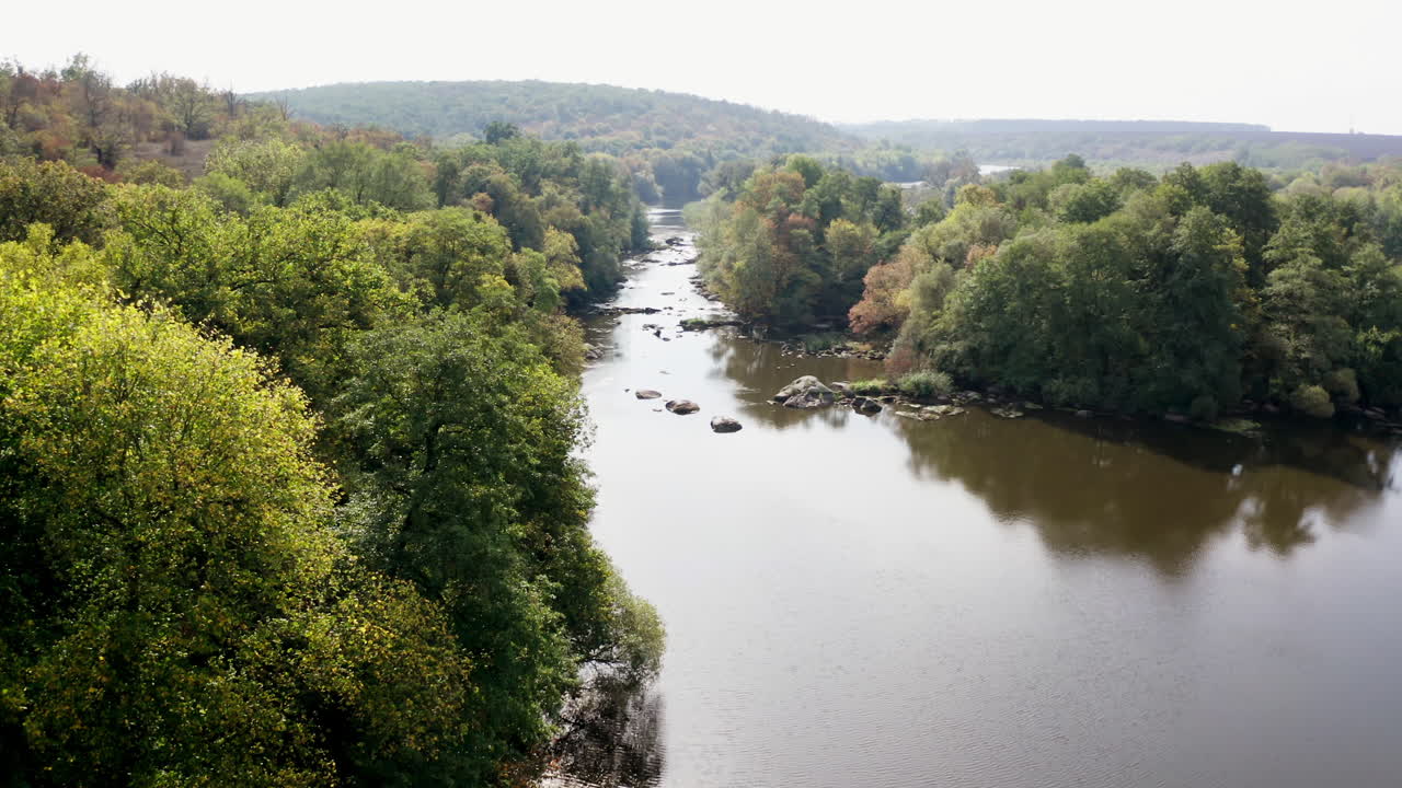 Naadloos bospatroon. Bovenaanzicht. Luchtfoto met drone van bos of woud met groene bomen en rivier beneden