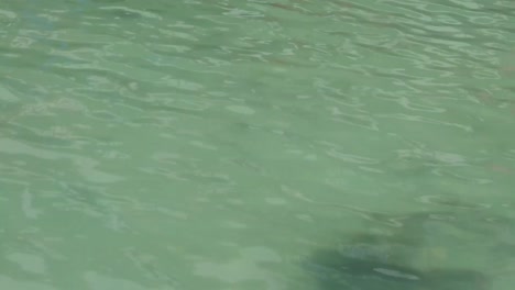 wave pool water with blue floor mat and reflection of stripes