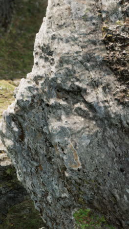 close-up of a large grey rock with moss