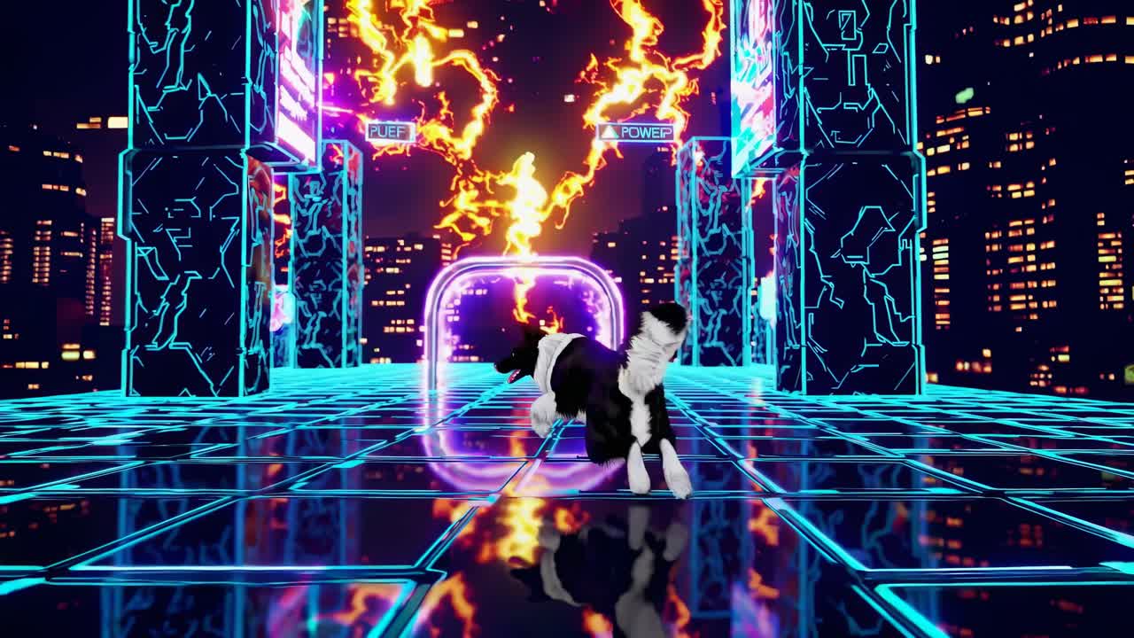 Border Collie in a Cyberpunk City Arena