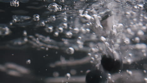 static close up shot of huckleberries getting dropped into a tank of water