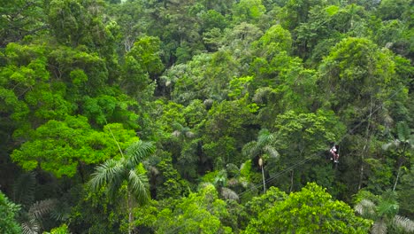 茂る植生に囲まれた吊り下げジップラインで山から谷に降りてくる人