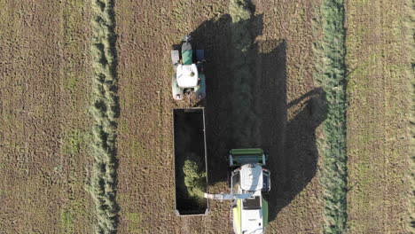 Aerial-top-down-shot-chopper-filling-tractor-with-grass-cuttings
