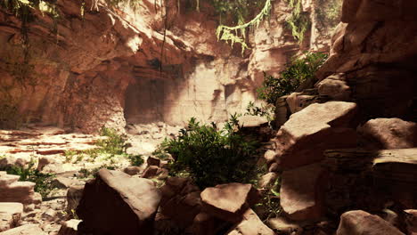 Vista-Desde-El-Interior-De-Una-Cueva-Oscura-Con-Plantas-Verdes-Y-Luz-En-La-Salida