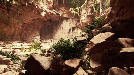 view from inside a dark cave with green plants and light on the exit