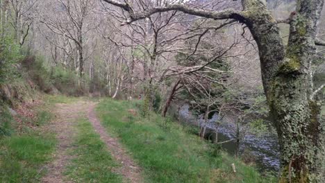 walking along the hiking trail under oak trees along the sor river in spring on a bright day