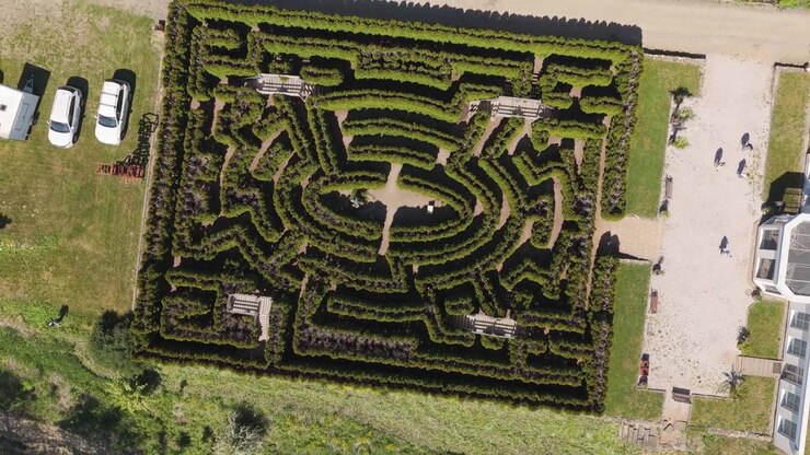 Drone view of lush green hedge maze on sunny day.
Beautiful garden design captured from above.