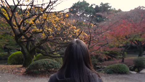 Following-black-haired-girl-walking-through-beautiful-autumn-park-on-sunny-day