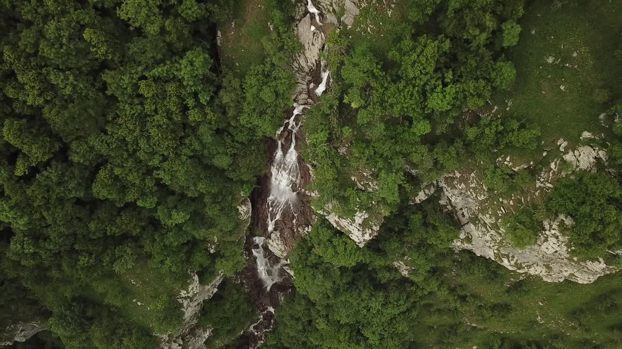A cascade of water descends through a forest Rocks line the waterway The shot is taken from above looking straight down on the scene trees on either side