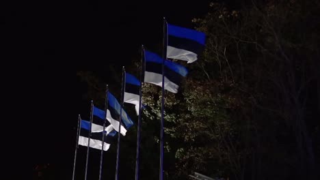 Banderas-Estonias-Ondeando-En-El-Viento-Por-La-Noche