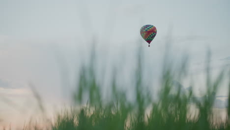 close up tall grass in open field with blurred hot air balloon floating overhead against pastel sunrise sky evoking peaceful mood and sense of adventure and gentle breeze