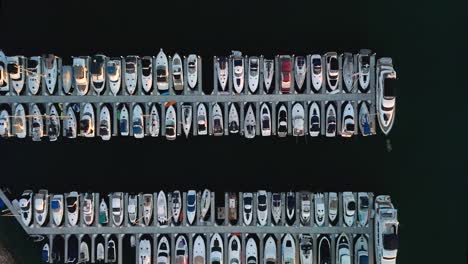 Rows-Of-Sailboats-And-Yachts-Docked-At-Embarcadero-Marina-In-San-Diego,-California,-USA