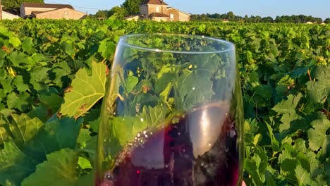 a hand holds a red wine glass, swirling it gently against a vibrant vineyard background under the sun.