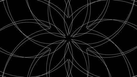 abstract radiating spirograph pattern background loop