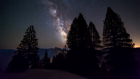 milky way over yosemite national park with silhouetted trees