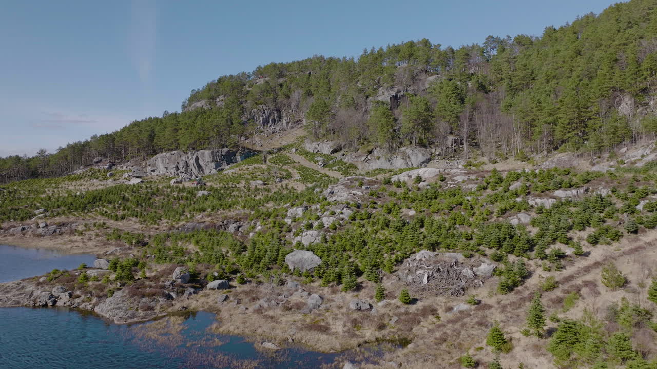 화창한 날 호숫가에서 전나무 묘목을 향해 날아가는 드론