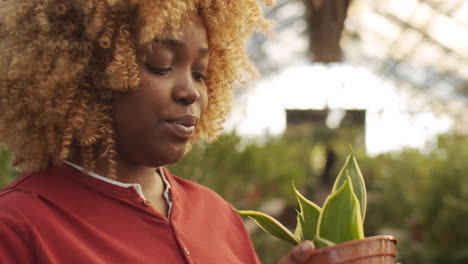 mujer negra comprobando la flor en maceta en el invernadero