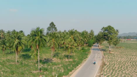 Los-Turistas-En-Moto-Viajan-Por-La-Carretera-Entre-El-Bosque-De-Palmeras.